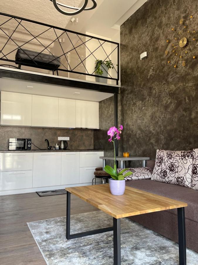 Radio City Loft Apartment Kaunas Ngoại thất bức ảnh